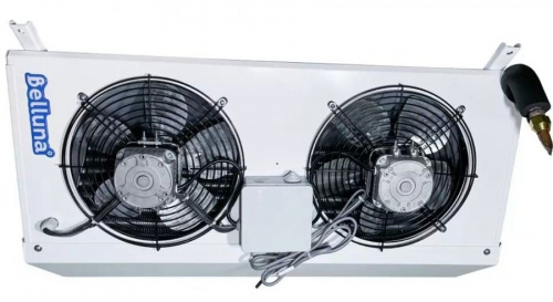 Belluna U205 Frost