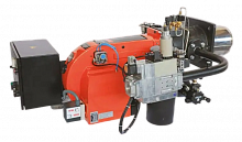 Gokce C (L) 135/2-b S