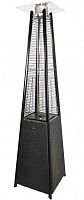 Газовый уличный обогреватель мощностью WWT 13I Rotang Black